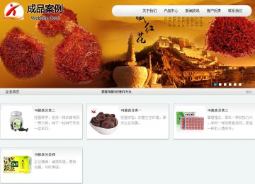 商務型成品案例站No:8409