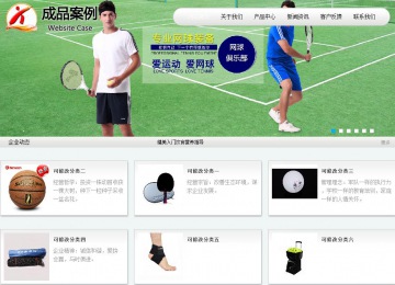 商務型成品案例站No:8409