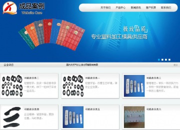 商務型成品案例站No:8409