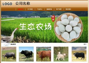 經濟型成品案例No:8521