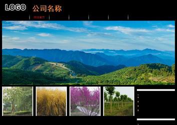 經濟型成品案例站No:8535