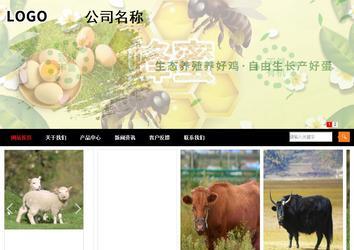 商務型成品案例站No:8552