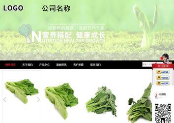 商務型成品案例站No:8552