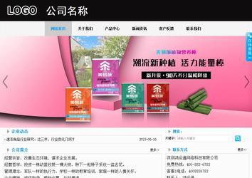 商務型成品案例站No:8553