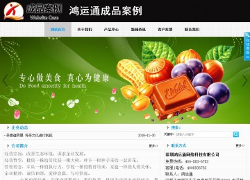 商務型成品案例站No:8553