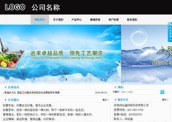 商務型成品案例站No:8553