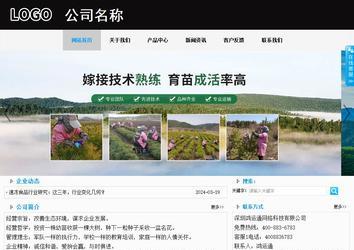 商務型成品案例站No:8553