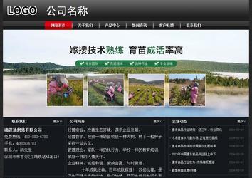 經濟型成品案例No:8589