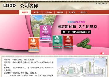 商務型成品案例站No:8621