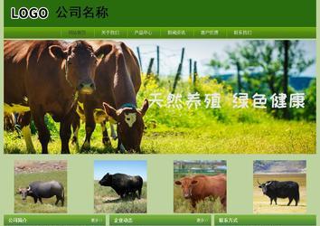 經濟型成品案例站No:8675