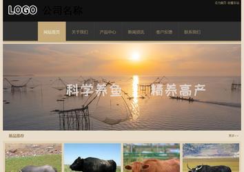 經濟型成品案例站No:8781