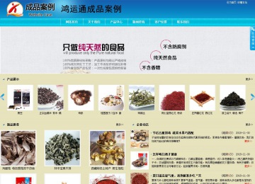 商務型成品案例站No:8784