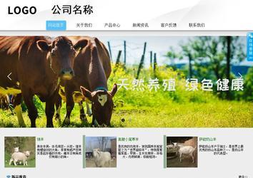 商務型成品案例站No:8808