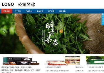 商務型成品案例站No:8813