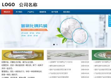 商務型成品案例站No:8813