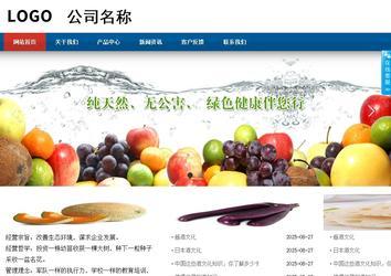 商務型成品案例站No:8813