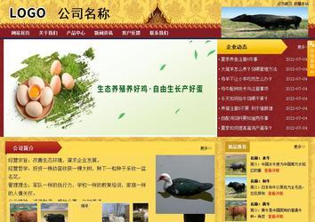 商務型成品案例站No:8824