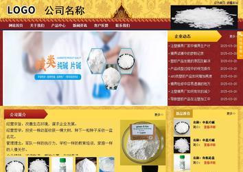 商務型成品案例站No:8824