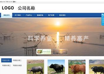 商務型成品案例站No:8827