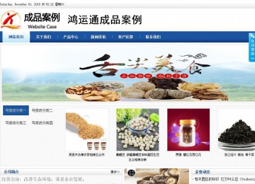 商務型成品案例站No:8827