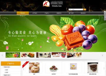 商務型成品案例站No:8829