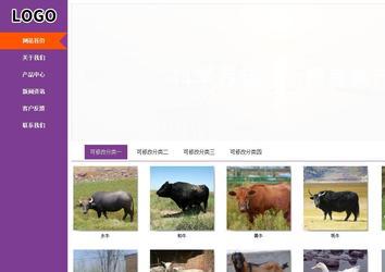 商務型成品案例站No:8830