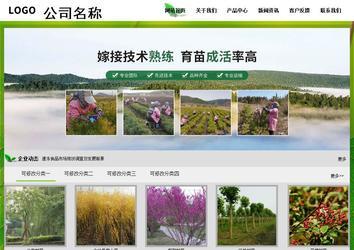 經濟型成品案例站No:8833