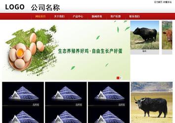 商務型成品案例站No:8860