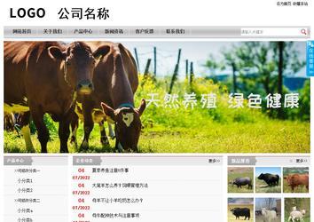 經濟型成品案例站No:8890