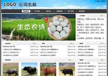 經濟型成品案例站No:8917