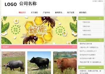 經濟型成品案例站No:8918